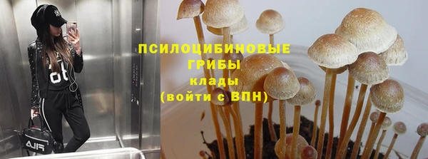 бутират Покров
