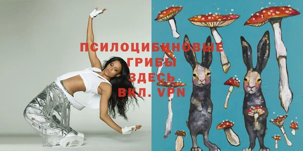 тгк Покачи